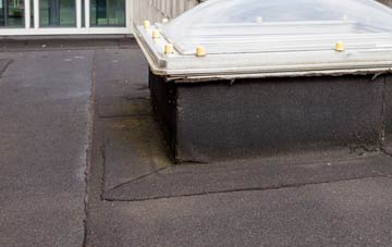 disadvantages of Ireshopeburn flat roofs